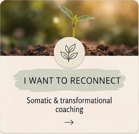I want to reconnect — somatic and transformational coaching