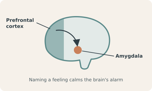 Emotional Dysregulation